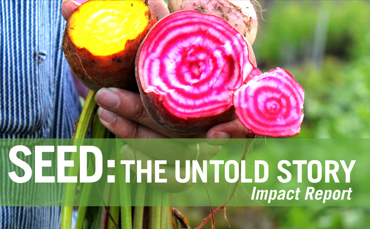Movie Screening: Seed, the untold story