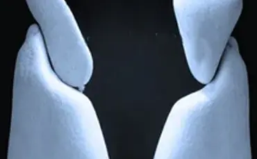 Filosofiecafé  - Orde en Chaos