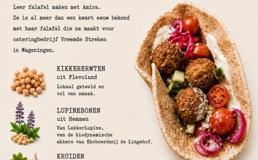 Workshop Falafel Maken