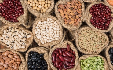 Circulair diner Klimaatweek